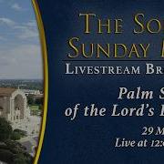 Palm Sunday Of The Lord S Passion March 29 2026