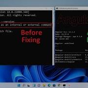 How To Fix Ng Is Not Recognized As An Internal Or External Command For Angular Cli In Windows 11