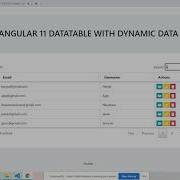 Angular 11 Datatable With Dynamic Data Working Demo