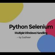 Python Selenium Multiple Windows Handling
