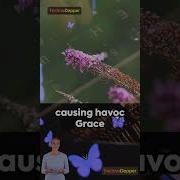 The First Computer Bug Technology