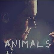 Kai Bonnie Animals