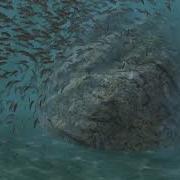 Instanced Fish On Boid Algorithm