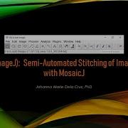FIJI ImageJ Semi Automated Image Stitching With MosaicJ