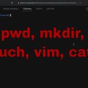 Essential Linux Commands Ls Pwd Mkdir Cd Touch Vim Cat