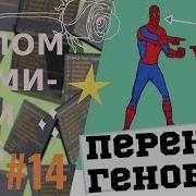 Взлом админки Css 14 Перенос генов 2