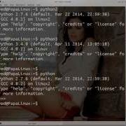 How To Deal With Multiple Installation Of Python In Linux