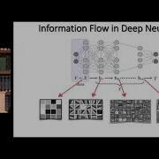 Naftali Tishby The Information Bottleneck View Of Deep Learning Why Do We Need It