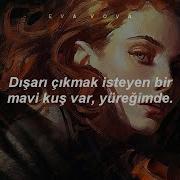 Charles Bukowski Bluebird Türkçe Çeviri