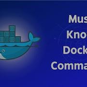 Основные команды Docker которые вам нужно знать