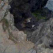 10042009058