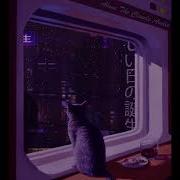 BLACKBIRD DEEP RAIN