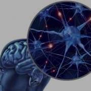 Why Does Modularity Evolve The Evolutionary Origins Of Modularity