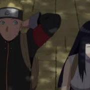 2D WebM 15
