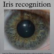 Iris Recognition