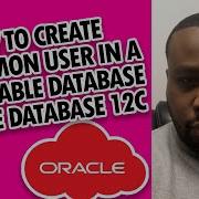 How To Create A Common User In A Pluggable Database Oracle Database 12c