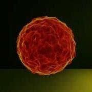 TRAPCODE FORM INTRO VIRAL PLANET