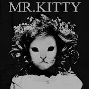 Mr Kitty Neglect