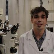 La Técnica Del Patch Clamp