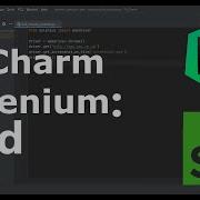 PyCharm Selenium Xlrd And Data Driven Web Automation