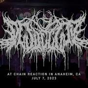 Desoectomy Chain Reaction In Anaheim CA 7 7 2023 FULL SET