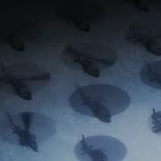 GATE Fortunate Son Helicopter Scene