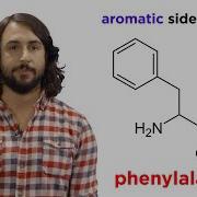 Amino Acids