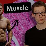 Eating To Gain Muscle Minimize Fat Gain And Reduce Oxidative Damage