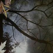 Alan Watts Life Death You Are The Total Wave