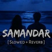 Samandar Lofi Slowed Reverb Jubin Nautiyal Shreya Ghoshal SR Lofi