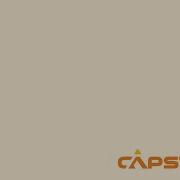 Capstone Simulation Advanced Business Strategy