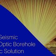 SLB Optiq Seismic Fiber Optic Borehole Seismic Solution