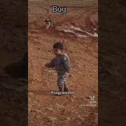 Programmer Vs Bug Developer Looking For Bug Shorts