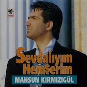 Nerdesin