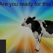 Drizzle Is Jumping Over A Big Truck Cow Error 820