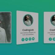 3D Flip Card On Hover Using Only HTML CSS CodingLab