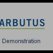 Arbutus Summarize Large Data Sets