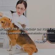 Animalltag Pet Identification Solution