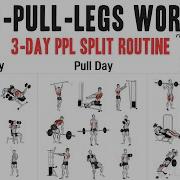 3 Day Push Pull Legs PPL Workout Routine
