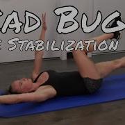 Dead Bug Exercise Beginner Strengthen And Stabilize Your Core