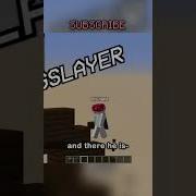 The Best Minecraft Player