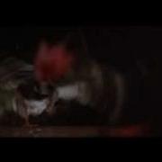 Long Weekend 1978 Original Theatrical Trailer