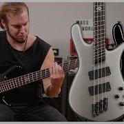 NEW SPECTOR MULTISCALE BASSES
