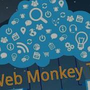 Web Monkey Test