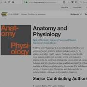 Anatomical Themes 1 Introduction