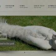 Javascript Slideshow An Easy To Use Js Slideshow Builder