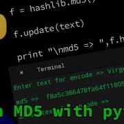 HASH Md5 In PYTHON Password To Md5 Live Coding In Dcoder Android