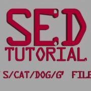 SED Whole Word Match With Boundaries Linux Shell Tutorial BASH