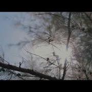 Fever Boy Ft Nwantsongo Nirivalely Vídeo Official