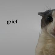 A DAY WITH GRIEF HAIRCUT Im The Chuzz Now